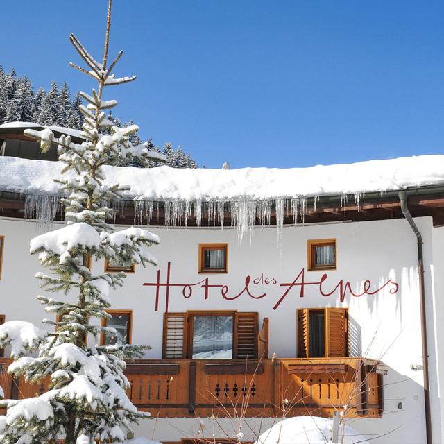 Hotel des Alpes